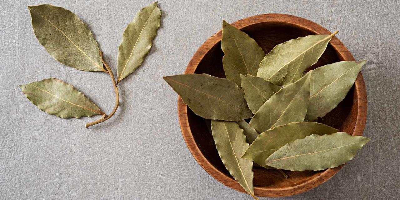 The Ultimate List of Bay Leaf Alternatives You’ll Love