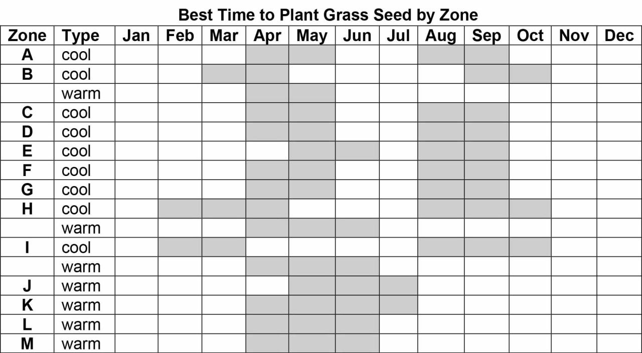 Sowing Grass Seed in the UK: When is the Right Time for a Beautiful Lawn?